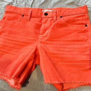 NWOT New Carve Design Oahu Shorts. Size 6 and 6”inseam.